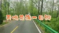 天鸣花海  研学游的一天