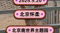 2025.5.20北京怀柔《北京鹿世界主题园》动物园和儿童乐园！
