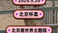 2025.5.20北京怀柔《北京鹿世界主题园》动物园和儿童乐园！