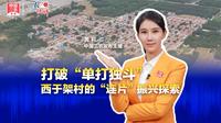三农锐评丨 打破“单打独斗”，西于架村的“连片”振兴之路