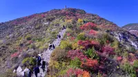 金秋十月，航拍崛围山红叶，记录全程登山步道！