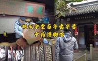 江南药王百年老店｜胡庆余堂中药博物馆有什么宝贝｜手工泛体验
