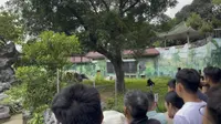 广西南宁动物园，门票50块