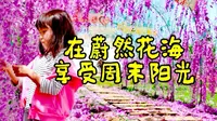 在蔚然花海享受周末阳光