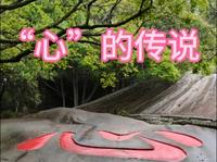 床车旅行·普陀山“心字石”