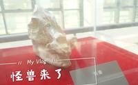 【化石说】云逛展之有“怪兽”的八公山地质博物馆