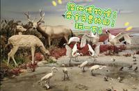 黄海湿地博物馆！沉浸式游玩！