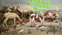 黄海湿地博物馆！沉浸式游玩！