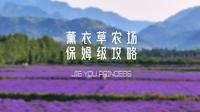 【一日游攻略】解忧公主薰衣草农场｜闯入普罗旺斯同款浪漫花海！