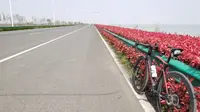 沉浸式骑行苏州西山风景区