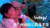 vlog｜广州动物园的海洋馆替大家去过了