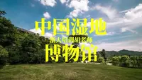 中国湿地博物馆|西溪湿地|杭州湿地|西湖