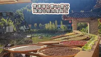 景德镇必游免费4A景区，陶源谷旅游度假区