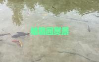 潍坊植物园打卡