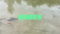 潍坊植物园打卡