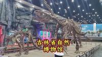 吉林省自然博物馆，没有门票，值得一来的地方