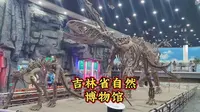 吉林省自然博物馆，没有门票，值得一来的地方