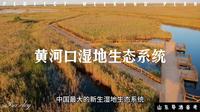 黄河口湿地生态系统