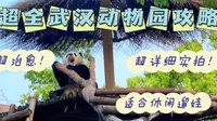 超详细武汉动物园攻略！看完不走冤枉路！周末遛娃休闲玩乐好去处