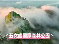 五女峰国家森林公园：长白山南麓的绿纱仙踪