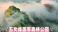 五女峰国家森林公园：长白山南麓的绿纱仙踪