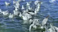 威海那香海的钻石海滩