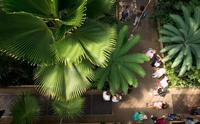 【中字】邱园丨十大美景丨6分钟了解英国皇家植物园Kew