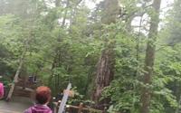即将营业的长白山池北区大戏台河景区，跟着丝路的镜头先睹为快吧