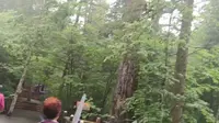 即将营业的长白山池北区大戏台河景区，跟着丝路的镜头先睹为快吧