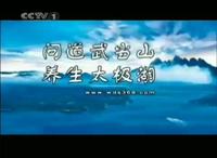 [放送文化]问道武当山养生太极湖广告 2010-2014
