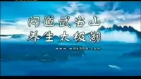 [放送文化]问道武当山养生太极湖广告 2010-2014