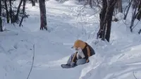 穿越羊草山