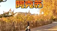 悠哉悠哉的逛逛阿克苏，看看刀郎部落。原来刀郎和刀郎人是两个概念