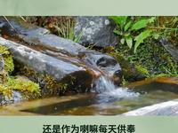 丽江文笔山：探寻藏传佛教圣地，领略绝美风光！