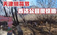 桃花节的西沽公园很惊艳，从没在这见过这么多游人，跟博主赏桃花