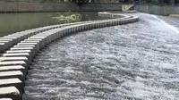 浙江丽水庆元县香菇小镇