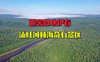 快来吧！20度的天然大氧吧，伊春的避暑胜地汤旺河林海奇石景区