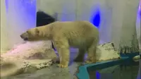 南京海底世界