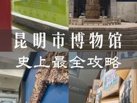 一条视频带你逛明白昆明市博物馆