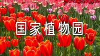 国家植物园赏保姆级攻略