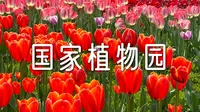 国家植物园赏保姆级攻略