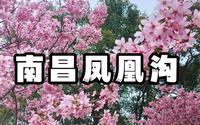 【江西南昌】凤凰沟踏青去咯～