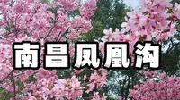 【江西南昌】凤凰沟踏青去咯～