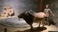 带你看看广西罗城仫佬族的博物馆。。