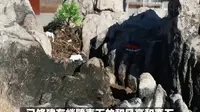 旅遍天下：十堰四方山植物园