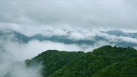 广水三潭风景区，宁静致远，仙气缭绕，美不胜收！
