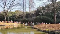 上海野生动物园游玩一天记录