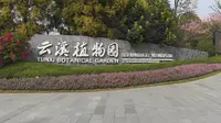 打卡广州云溪植物园，遇见神奇植物与迷人园林