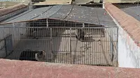 园中园样式（罗布林卡动物园：藏马熊）