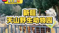 新疆天山野生动物园